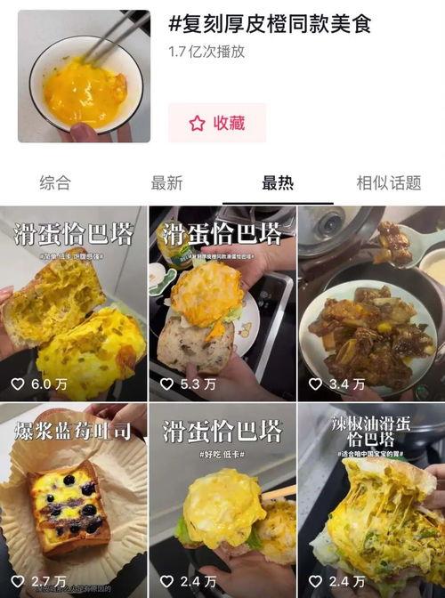网友爆料美食视频下载,教你轻松下载美味瞬间 第3张 网友爆料美食视频下载,教你轻松下载美味瞬间 第3张